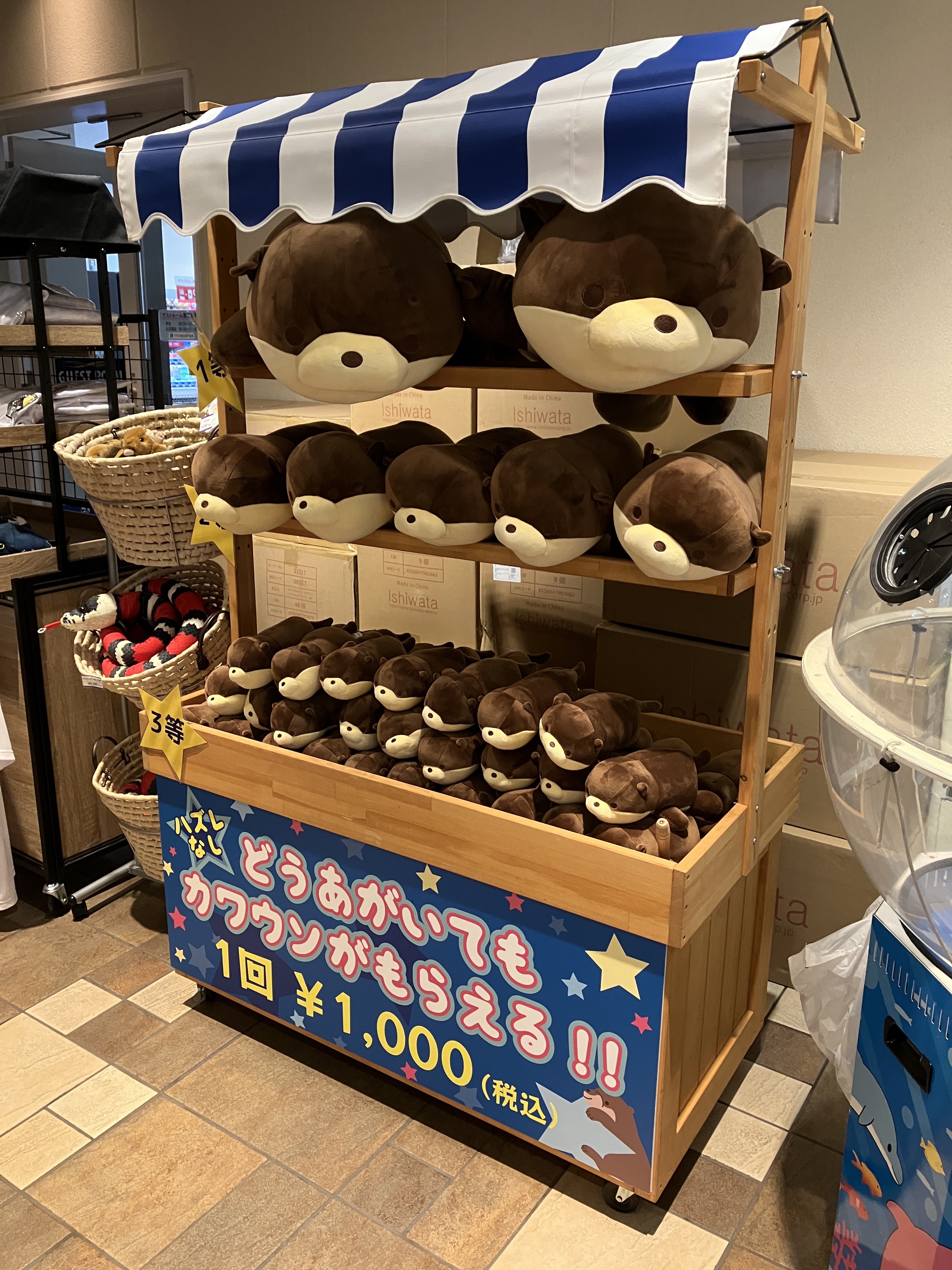 経典ブランド サンシャイン水族館  X: on ぬいぐるみ