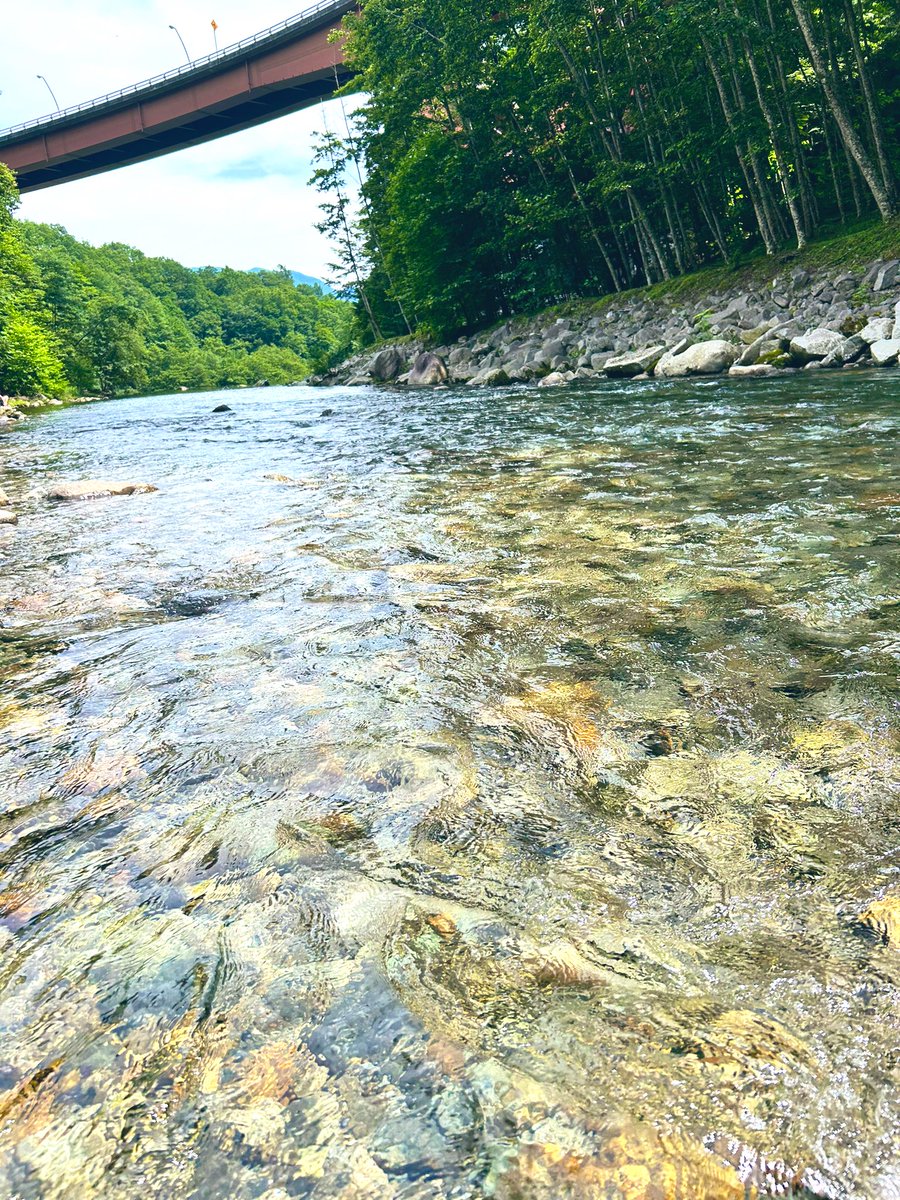 pany_mm's tweet photo. 暑い🥵山梨暑過ぎる🔥🔥
ので川遊びして涼しくなってきた😆✨ https://t.co/XFif8v5f8C