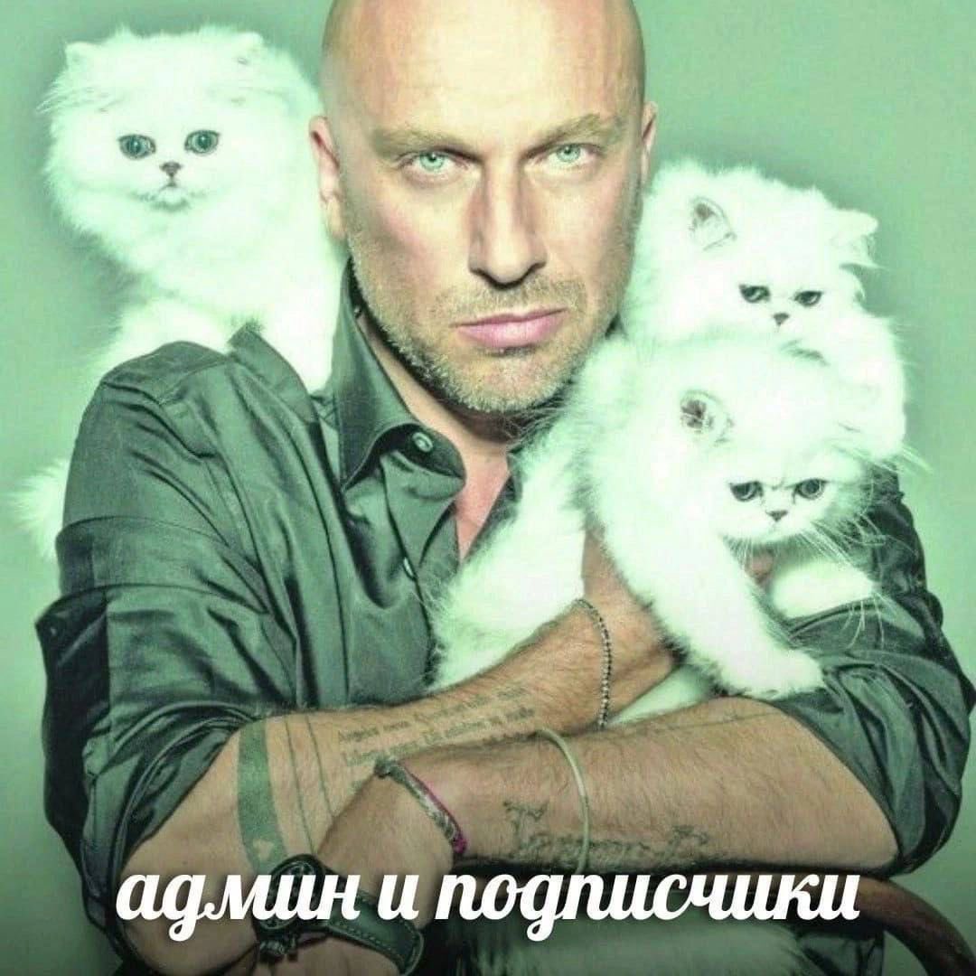 ks𖦹mi tweet media