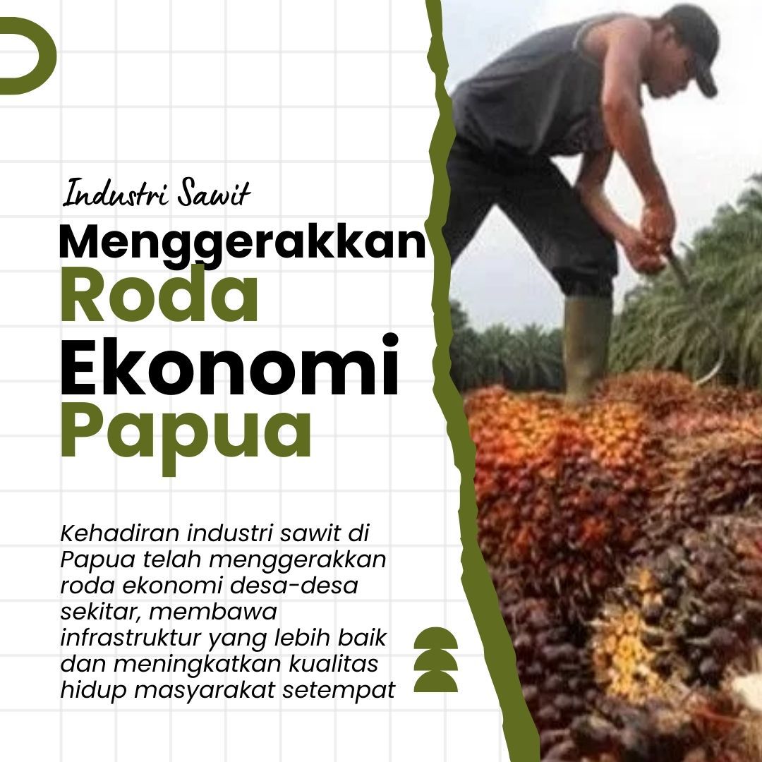 littlemanjamin's tweet photo. Segala upaya terus dilakukan oleh pemerintah untuk meningkatkan perekonomian di wilayah Papua. Beberapa langkah tersebut di antaranya pengembangan industri sawit serta pertanian yang melibatkan orang asli Papua
#IndustriSawit #SawitPapua #PapuaMaju #PapuaSejahtera https://t.co/w3RK2wHwJ7