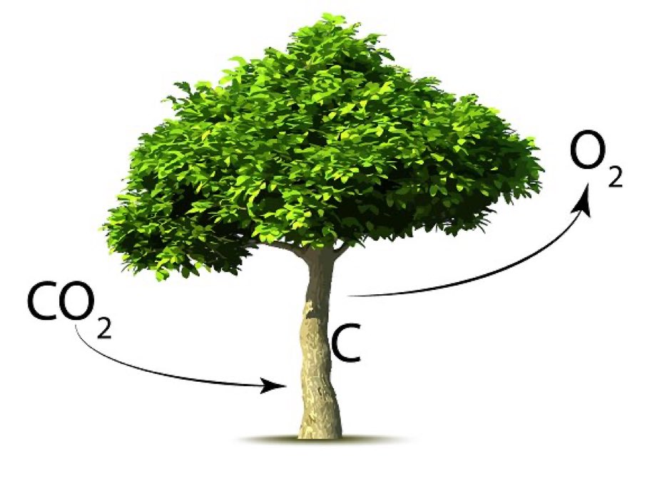 JamesMelville's tweet image. Follow the science.