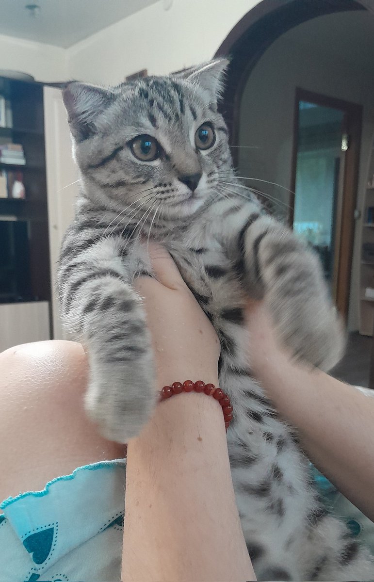 Я его покормила и... Что это за эмоция?