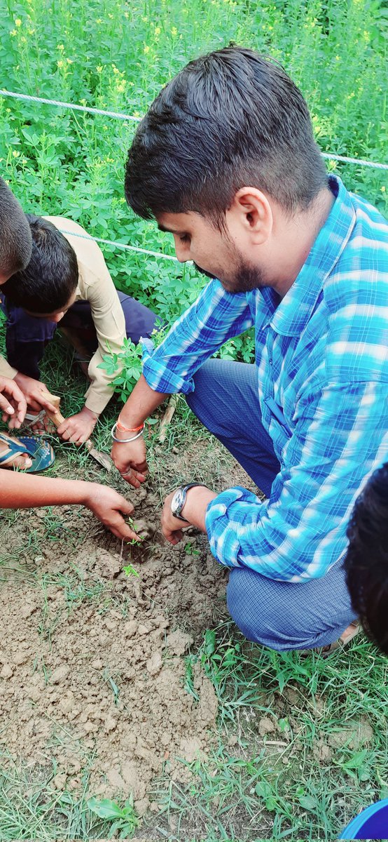 Roopend61731605's tweet photo. #PlantATree 
#Plantation https://t.co/SBOs8K4MWz