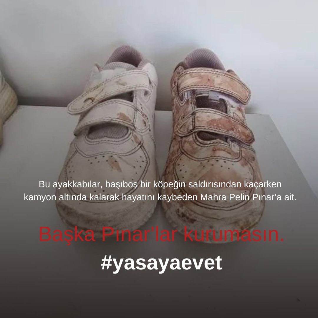 #yasayevet