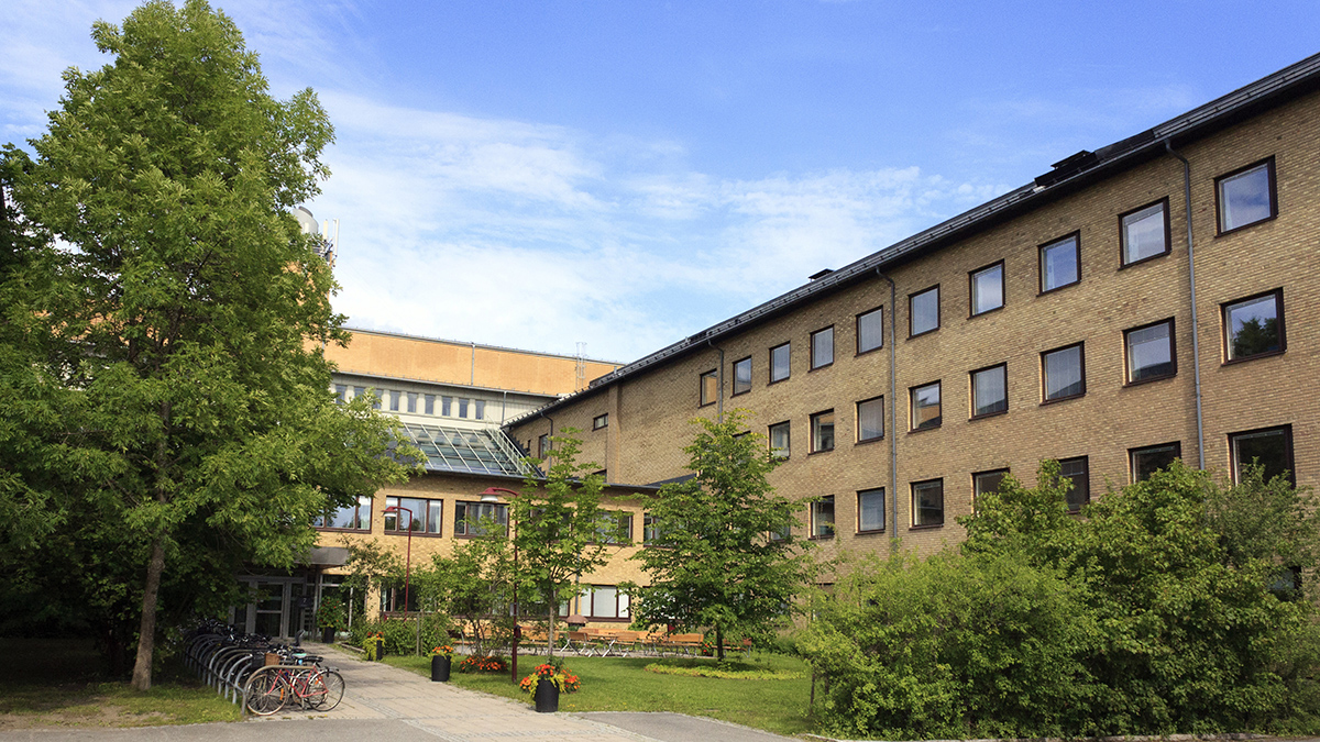 Umeå Plant Science Centre (UPSC) (@umeaplantsci) on Twitter photo Are you looking for your next career step? Join us <a href="/UmeaPlantSci/">Umeå Plant Science Centre (UPSC)</a>!
We have currently several openings for #PhD students, #postdocs and #IT staff/#bioinfomaticians.
Look here👇for more information, apply and become part of a great research environment:
upsc.se/jobs.html Are you looking for your next career step? Join us <a href="/UmeaPlantSci/">Umeå Plant Science Centre (UPSC)</a>!
We have currently several openings for #PhD students, #postdocs and #IT staff/#bioinfomaticians.
Look here👇for more information, apply and become part of a great research environment:
upsc.se/jobs.html