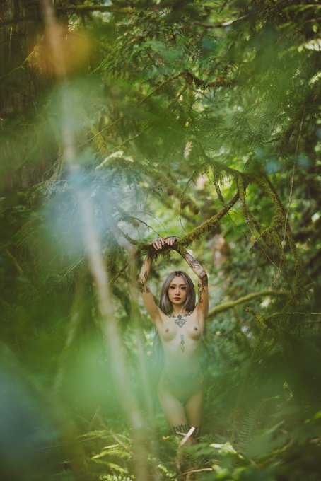 Corwin Prescott’s pics and videos