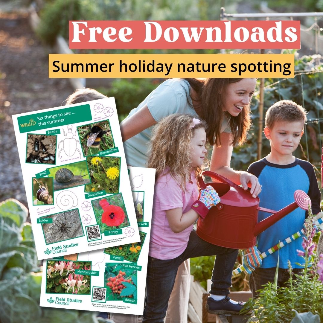 FieldStudiesC's tweet photo. π‘ππ Woohoo!! Summer Holiday!! π ππ‘
Download and print a fun spotters sheet to for children: Six things to see this summer
π And don't forget to share your photos! π
https://t.co/8b6aTNP7K7
#Summer #SummerHolidays #ActivitiesForChildren https://t.co/zSEXC5a2hm