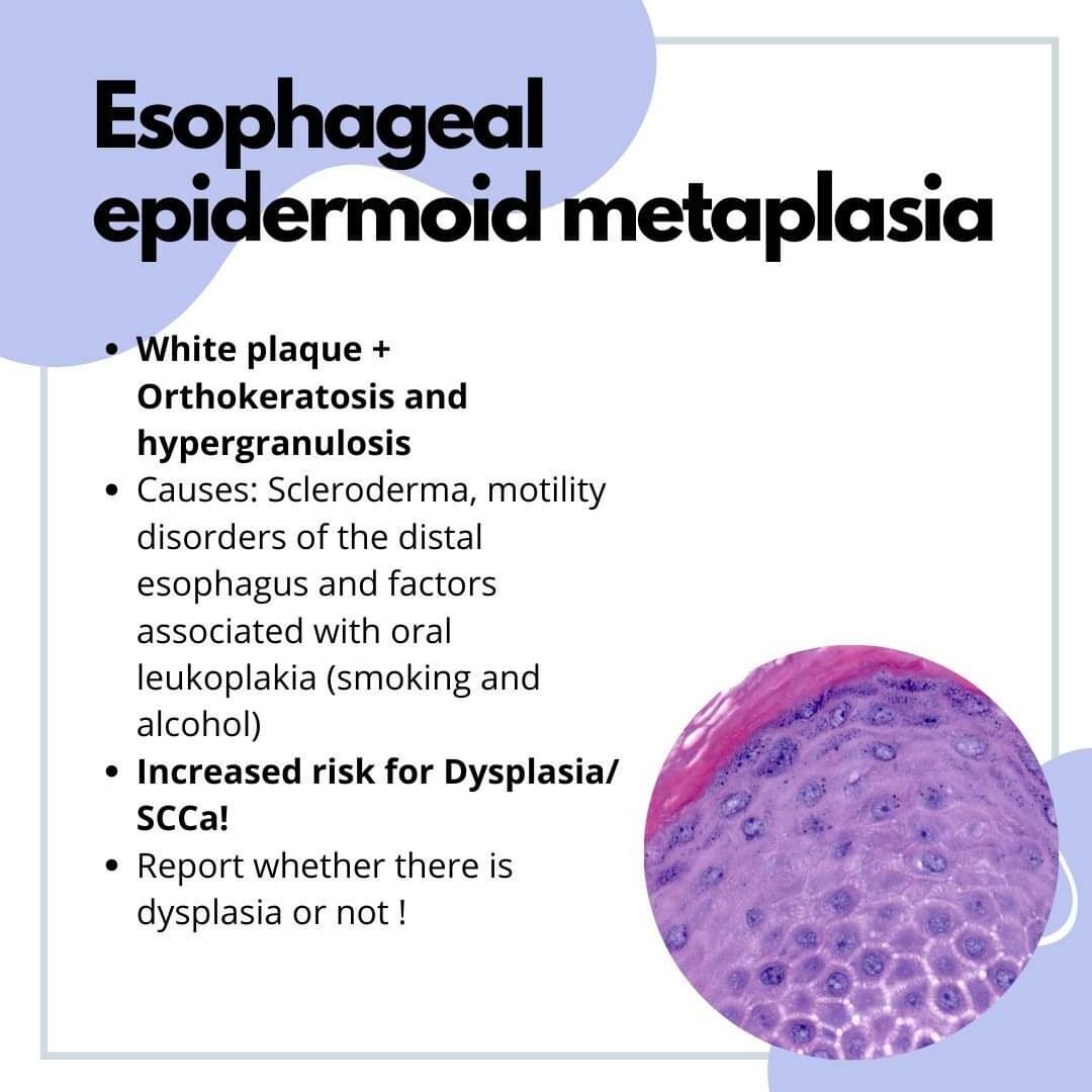 GeronimoJrLapac's tweet photo. #gipath #pathology https://t.co/IhVLiaInkl