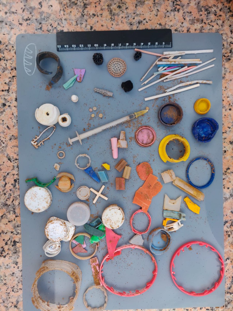 Ante la controversia por el nuevo diseño de los tapones de botellas y otros envases, os dejamos una muestra representativa 👇de los residuos que recogemos cada día en las playas naturales de <a href="/CalblanquePR/">Parque Regional de Calblanque</a>, en Cartagena.

Para muestra, un tapón 😉