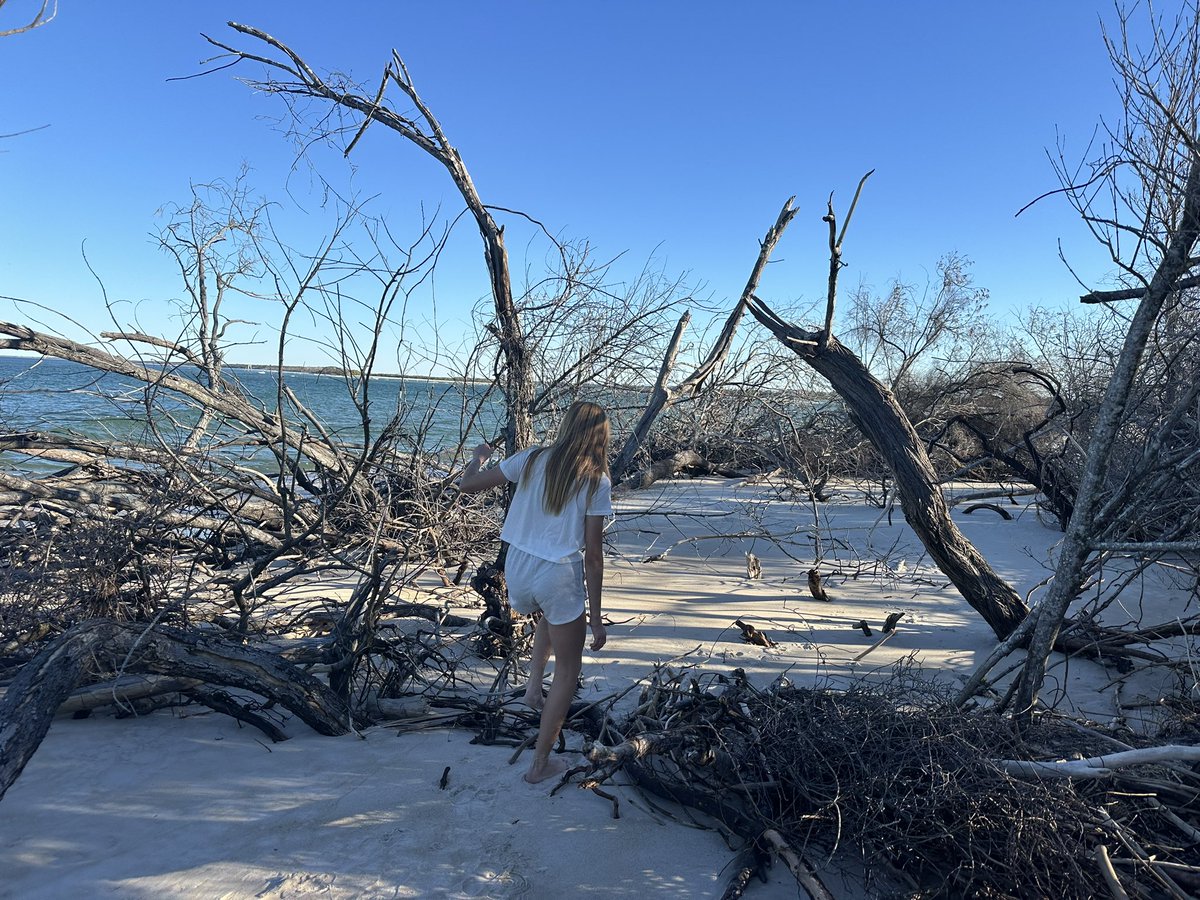 Nature lovers  visiting the Sunshine Coast - may I suggest the walk from Happy Valley South along Bribie Island?   
We just did it again, beautiful backdrops, Sea-life &amp; Wildlife along the way…restaurants back at the start 🏝️ 🎣🏄🏽‍♂️🐳 🍲🍹 🎉
<a href="/VisitCaloundra/">Caloundra</a> 
<a href="/sunshinecoastoz/">Visit Sunshine Coast</a>