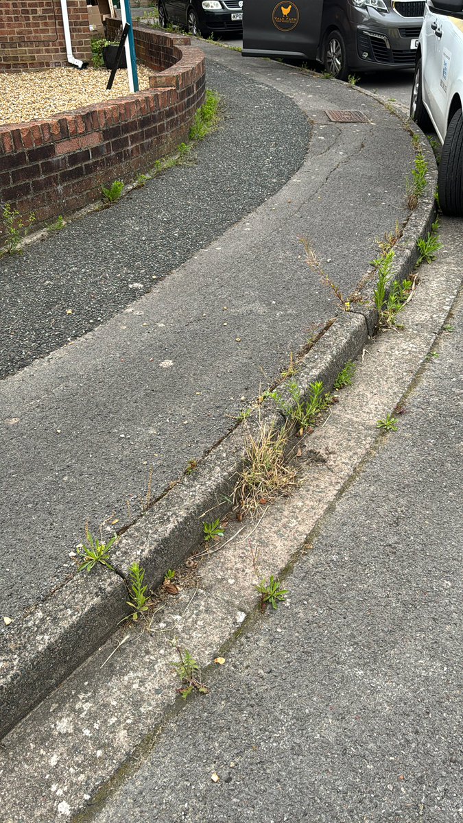 ChrisPowling's tweet photo. @HavantBorough can you get someone to come and kill the weeds in our street Brightside Waterlooville ? We pay a lot of Council Tax and it looks like we live in a scene from the apocalypse. Thank you https://t.co/zi7Melxsif
