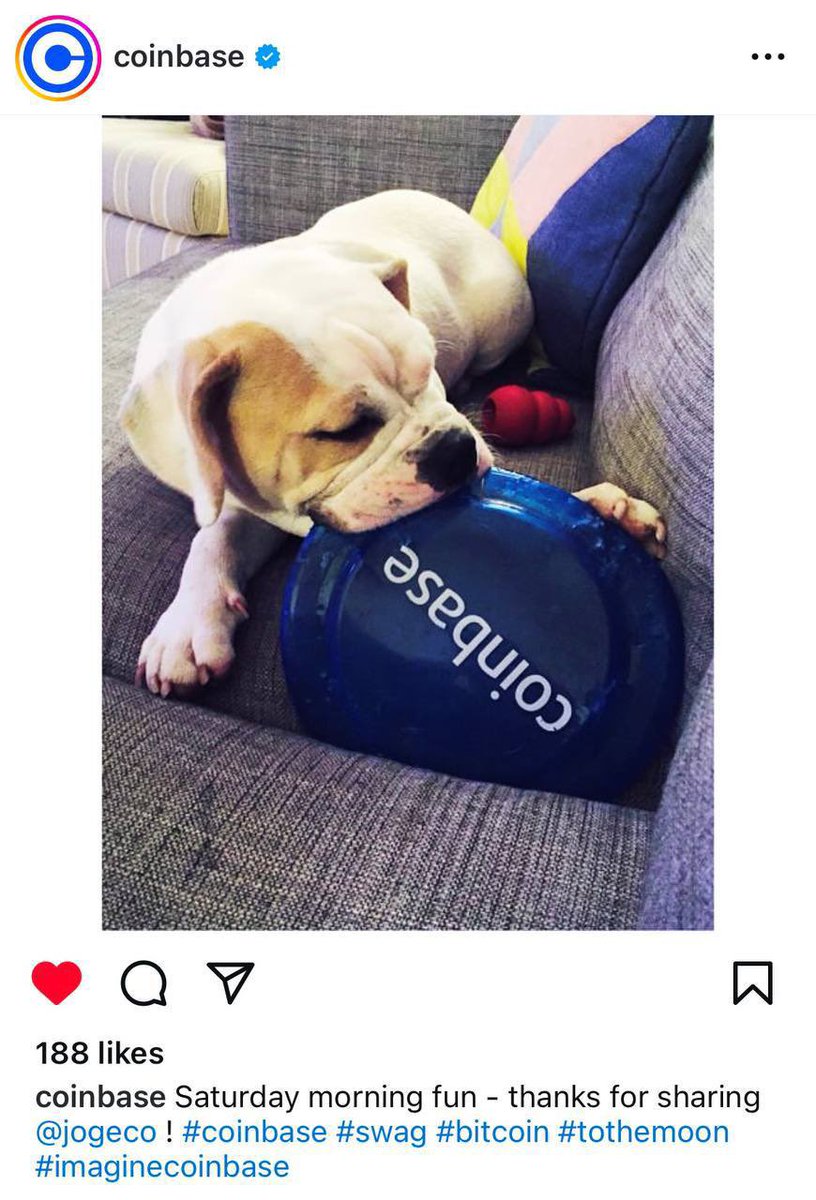 mtmcrack's tweet photo. @dincoco Real Coibase Dog $JOGECO
https://t.co/z8tXP72mcS https://t.co/Rmr6Tu89OL