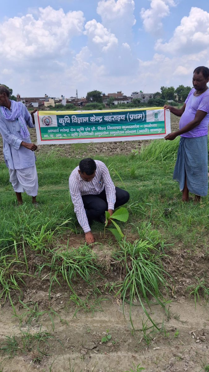 kvkbahraich's tweet photo. वृक्ष धरा के भूषण है करते दूर प्रदूषण है
#CMYogilucknow
#ANDUAT Kumarganj Ayodhya
#Atarikanpur https://t.co/d2cpFnWkFF