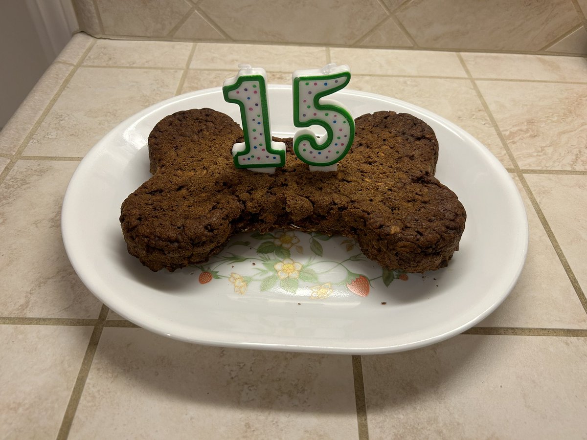 Teddy Bear's Birthday Party! ROCKIN at 15! #katyamusic