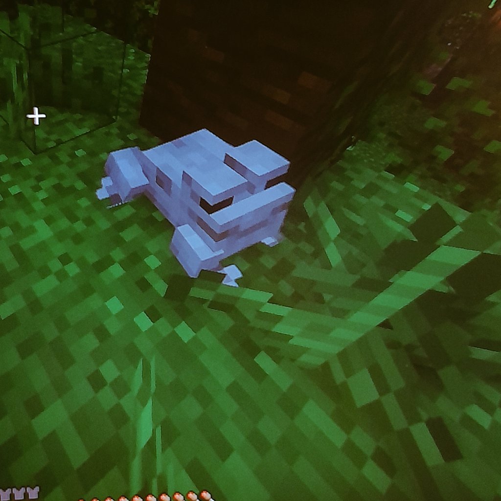 жабки всегда будут слишком милыми в майне😔😔