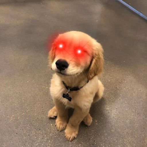 BENNONFT's tweet photo. @thegoldycoin @CoinMarketCap Wink wink https://t.co/RZLsL4M6fL
