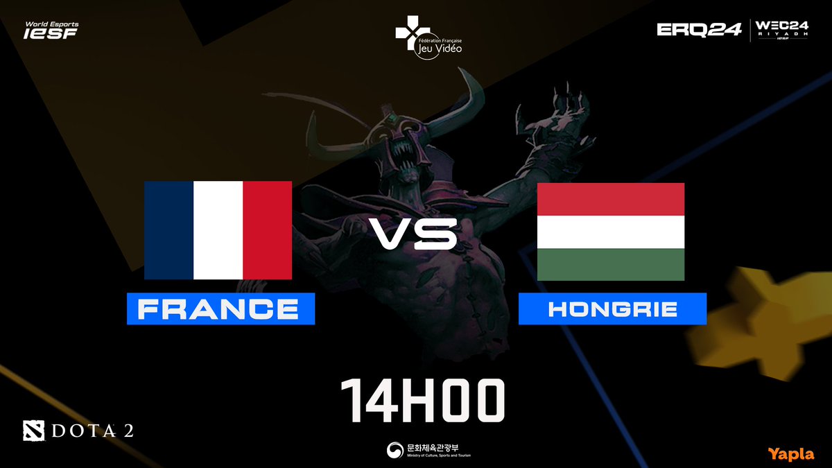 FFJV : Fédération Française de Jeu Vidéo tweet media