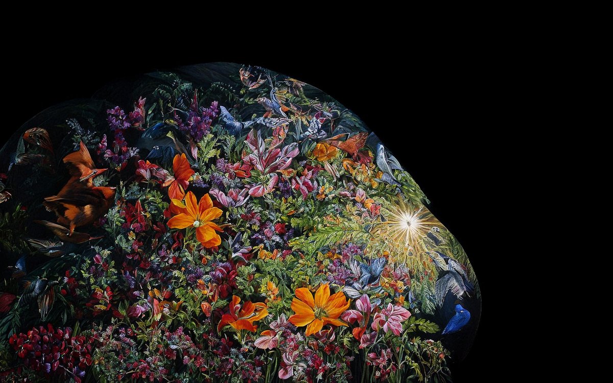 naturegraphique's tweet photo. Dans l'harmonie silencieuse des pétales enchevêtrés, la biodiversité danse comme une toile vivante où chaque fleur est une touche d'éternité.
#art #video #biodiversite #graphique #nature #video #mapping #design #creation #motion #IA

https://t.co/R4NHrd7AVq https://t.co/nAhB0C1Yj6