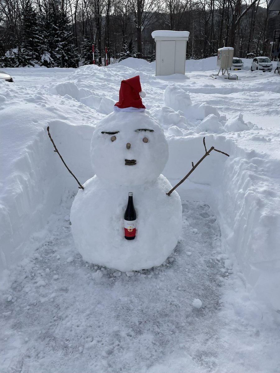 monstpapa3's tweet photo. #暑すぎるので雪の画像で涼もう見た人もやる https://t.co/P1dWOMd5W0