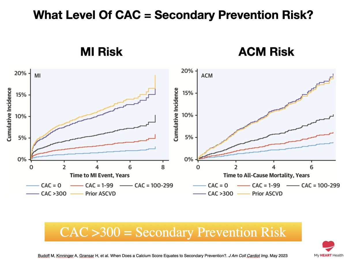 4. If You Have A CAC Score &gt;300 

You Have The Same Future Heart Attack Risk 

As Someone Who Has Had A Previous Heart Attack. 

ie VERY High!
