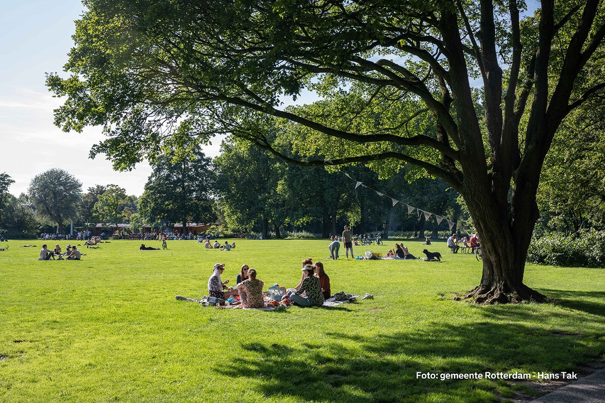 Stadsbeheer010's tweet photo. Erop uit naar onze #Parken of #Stranden met dit mooie weer ☀️? Gooi je #Afval in de afvalbak of neem het mee terug naar huis 🚮. Zo houden we samen onze parken en stranden schoon. https://t.co/18J7OmN3KI