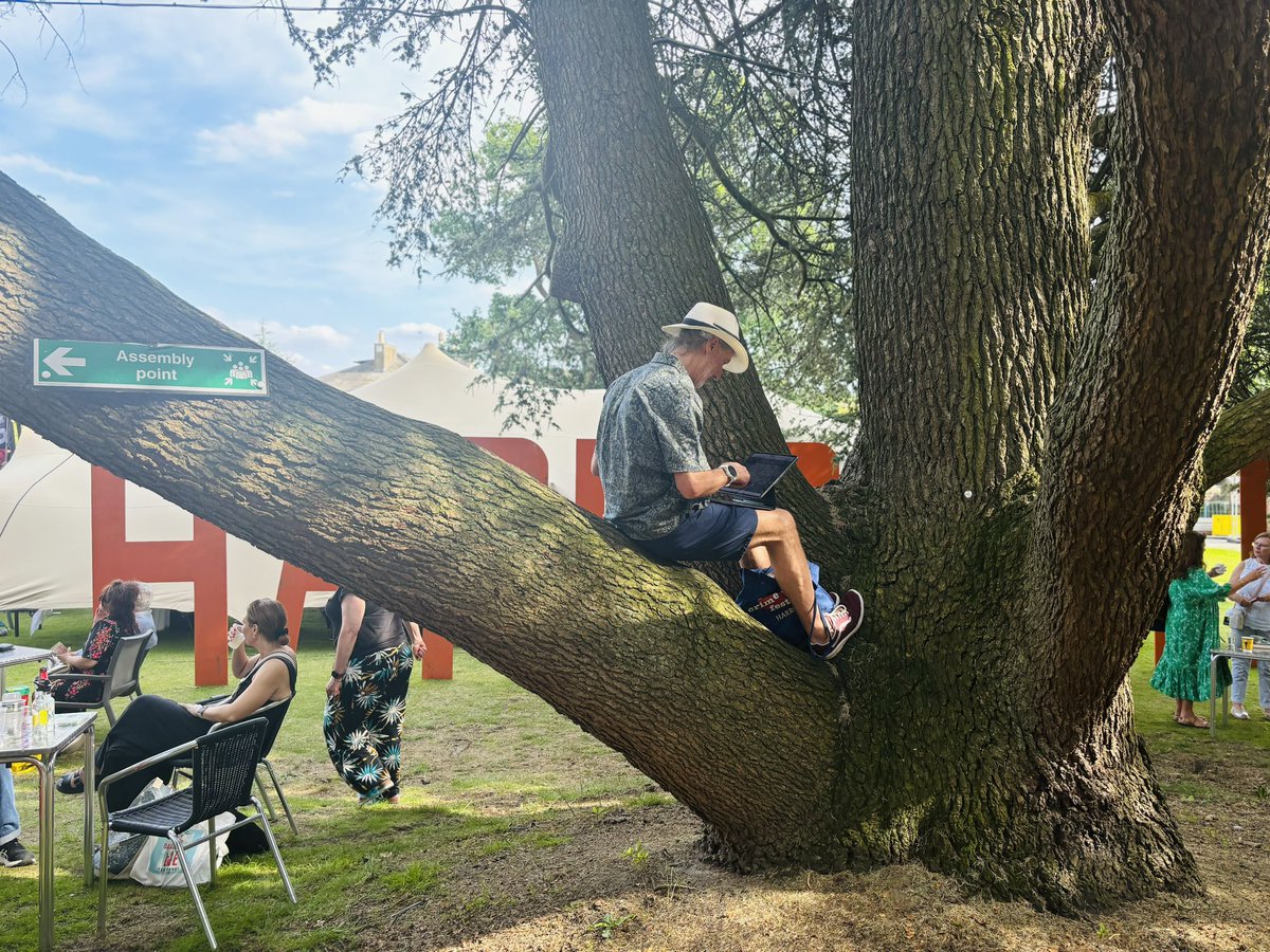 Anna Mazzola - Updates only. tweet media