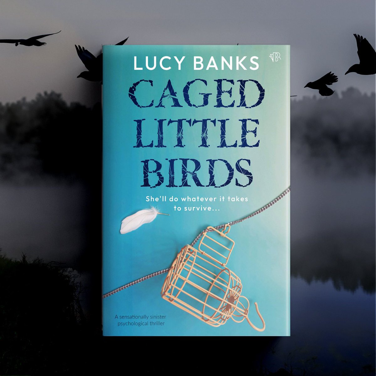 It’s coming your way on the 24th July… £1.99 to pre-order today! amazon.co.uk/Caged-Little-B…