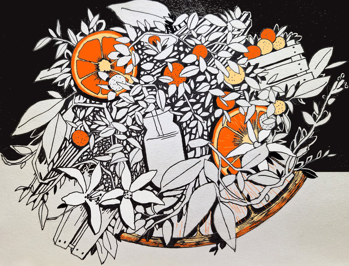 Fazeleh🌿🪷🌿 tweet media