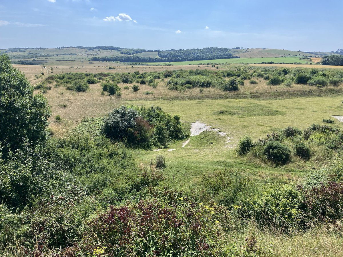 Andrew Painting tweet media