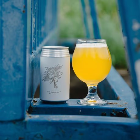ambeer_osaka's tweet photo. 14時までのご注文は当日発送🛒
https://t.co/fg2vYKLxdY
【Novoru Brewing】
・St.Louis Gold (DDH Hazy Pale Ale)
・Hikaru (Hefe Weizen)
・Novoru (Session IPA)
フラッ��シップ+新作2種!!
#NovoruBrewing #ノボルブルーイング
#ambeer #アンバー #大阪 #吹田
#クラフトビール #キャンプ https://t.co/wEwawnGSzI