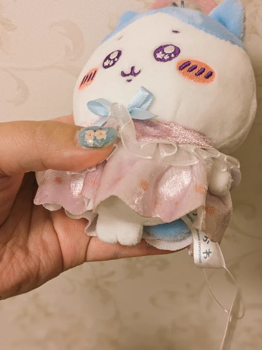 あしかわいか