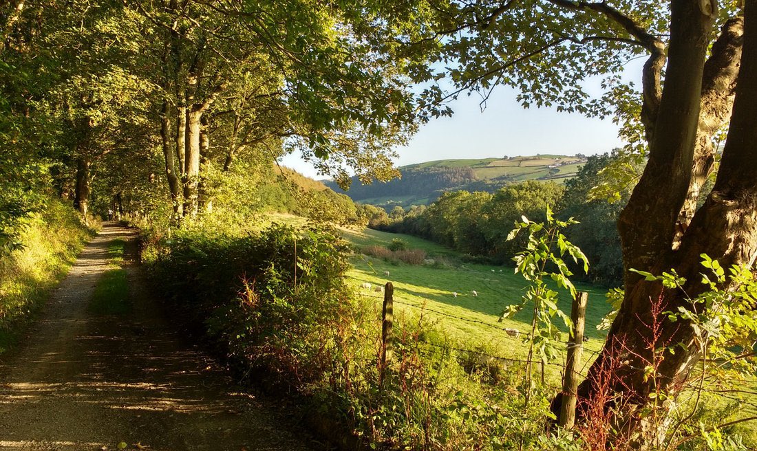 PenygraigFarm's tweet photo. 🚴 Enjoy #Cycling? 

We’re so fortunate to have the Ystwyth Trail running through Penygraig Farm (📸 1st photo is us)

To find out more about the fantastic cycling routes in and around Aberystwyth, visit https://t.co/QNGv5LOdTG

#VisitCeredition #VisitWales https://t.co/6vko9P8ux8