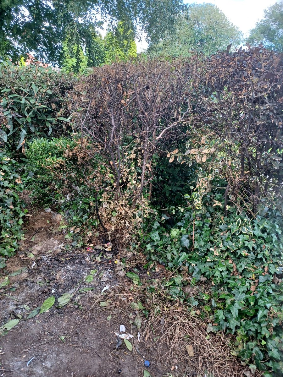 Paul Semple tweet media