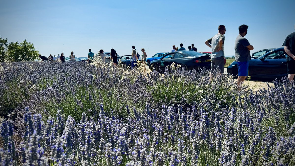 fraser_strachan's tweet photo. The #Maverick1K is now in the rearview mirrors. What a trip, what a team! I couldn’t ask for a better bunch to go on this wild adventure with 🫡 💜

#Roadtrip #BeAMaverick #ThisIsMaverickGames https://t.co/7VMpaZd37B