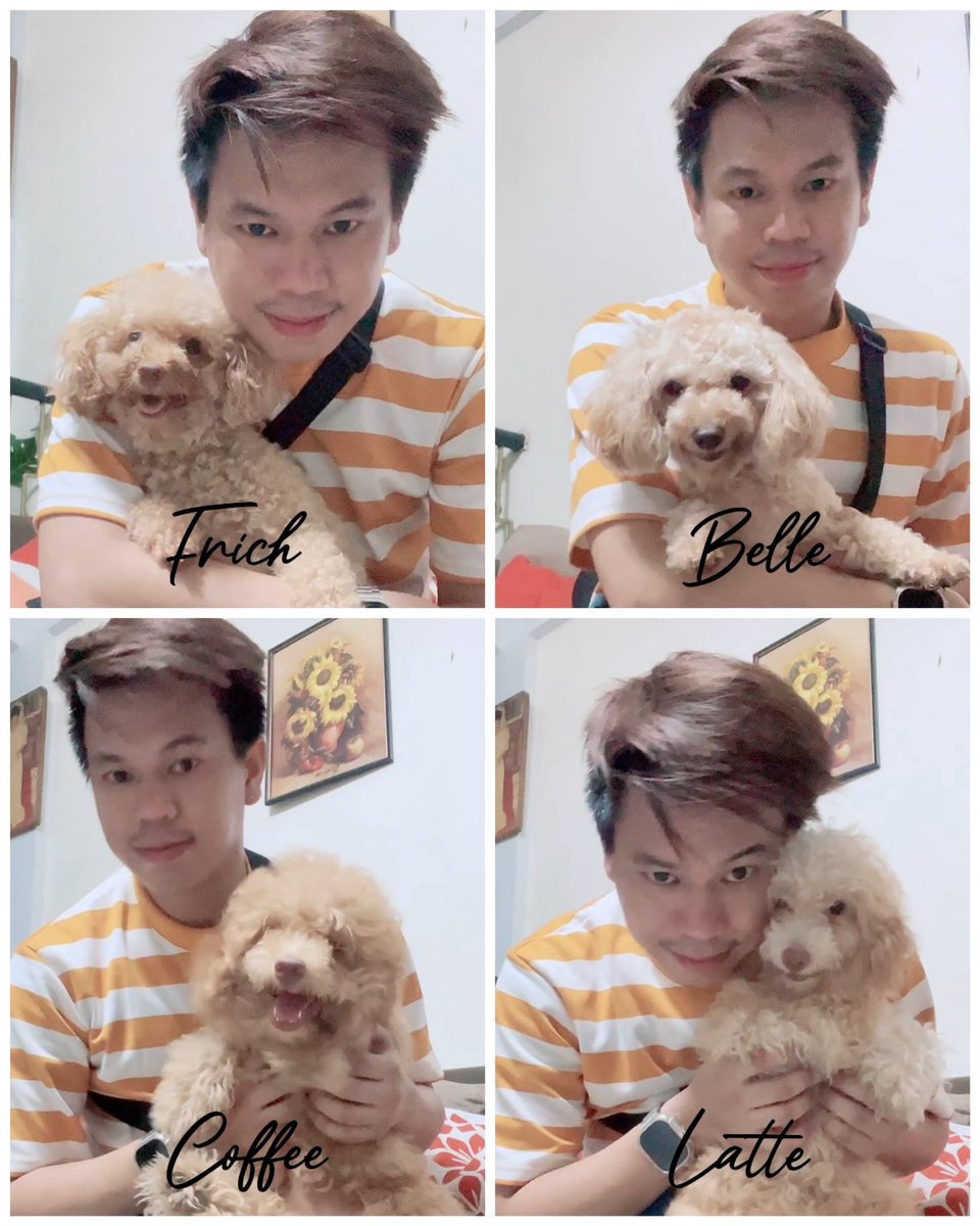 lericjamesb's tweet photo. These are my lovely doggies! I missed them so much... @JamesWoofCoin #jameswoof https://t.co/LhU6Ya5gKW