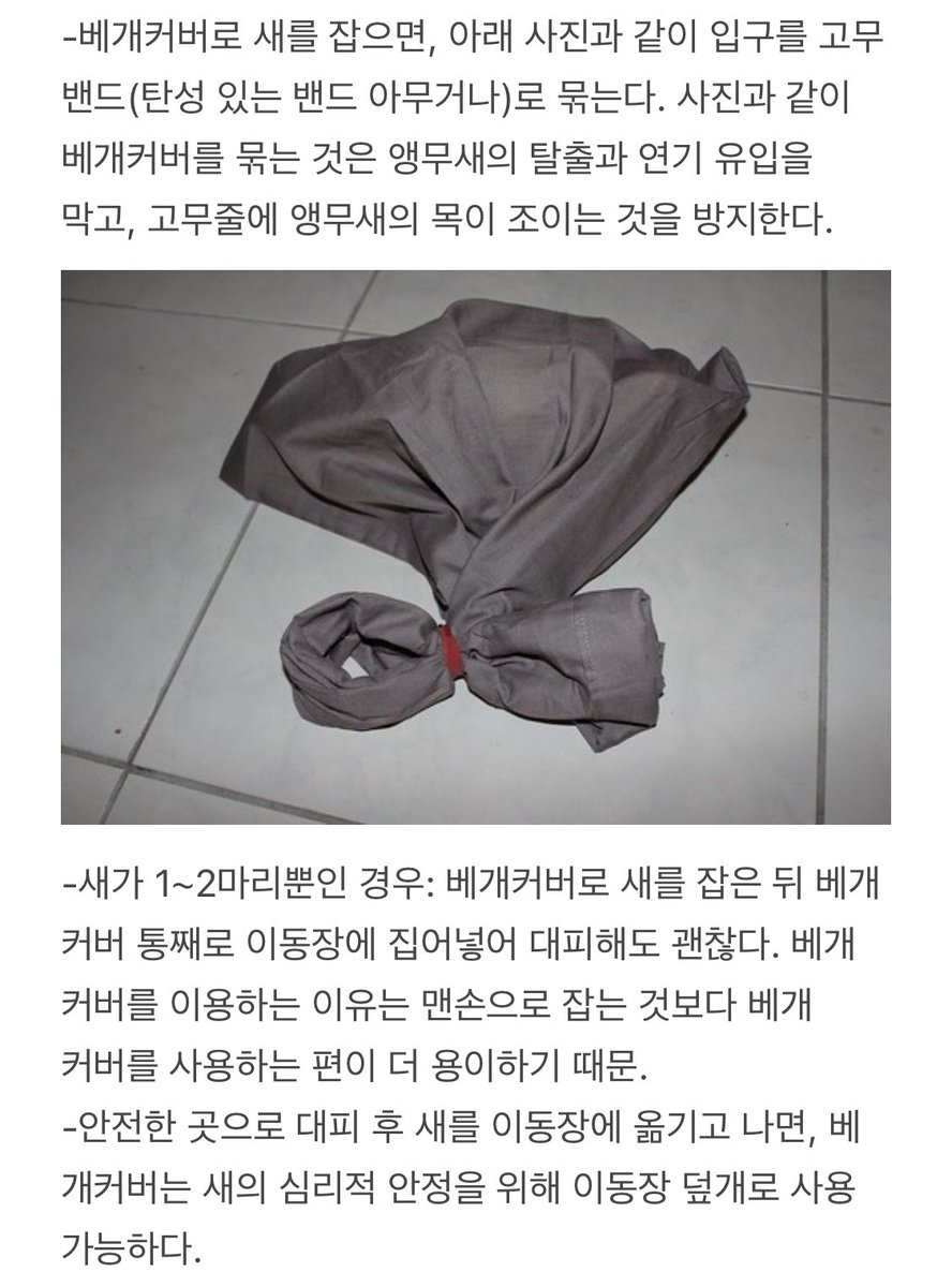 conuresaurus's tweet photo. 화재 발생 시 베개커버를 이용한 앵무새 대피 방법과 앵무새 피난키트
(원문: https://t.co/IQoiKWzesS 및 기타 해외 커뮤니티 참조) https://t.co/AxscoXCxCo