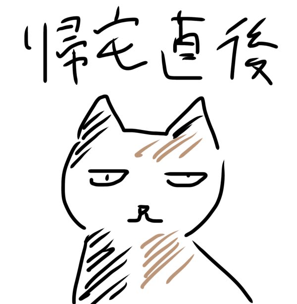 帰宅直後はまぶたが上がらないって感じの顔をしていて目つきが悪かったけど、見知った顔になってきました!🐈‍⬛ 