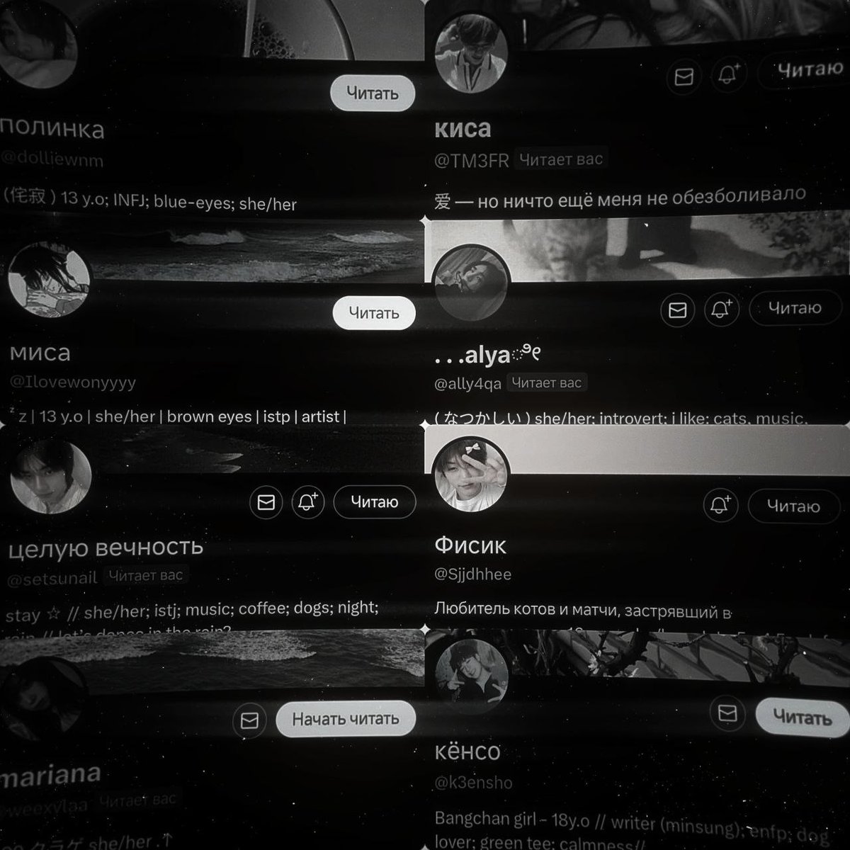 evanescence. . . tweet media