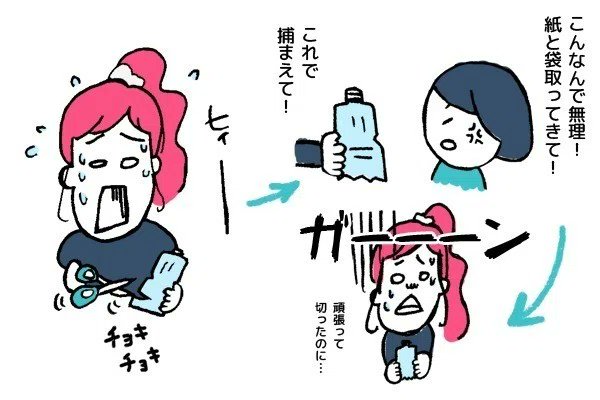 【再掲】夏のアイツの倒し方(2/3)
(※虫苦手な人は一応閲覧注意で)

緊急事態にここでツイ廃スキルが発動!!!💥
ついったで見た「ペットボトル&殺虫剤」で一撃する案を思い出して提案してみるものの… 
