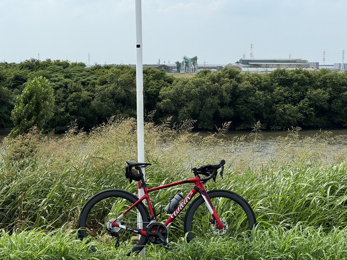 ヤス🐮 tweet media