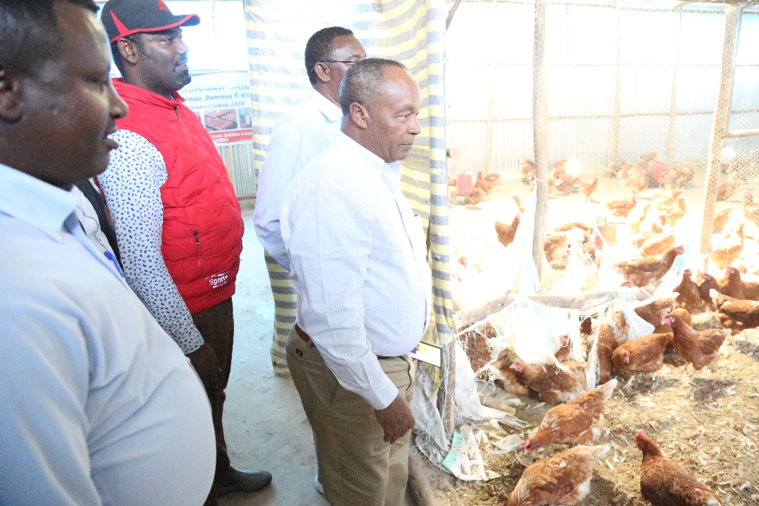 Ethiopian_ATI's tweet photo. The senior management team visited a youth entrepreneurship group supported by the ADEY program in Adama woreda, East Shewa Zone, Oromia region. The group engaged in the poultry business is showing significant progress and has started earning income by selling eggs. https://t.co/NcMgXEsHCS