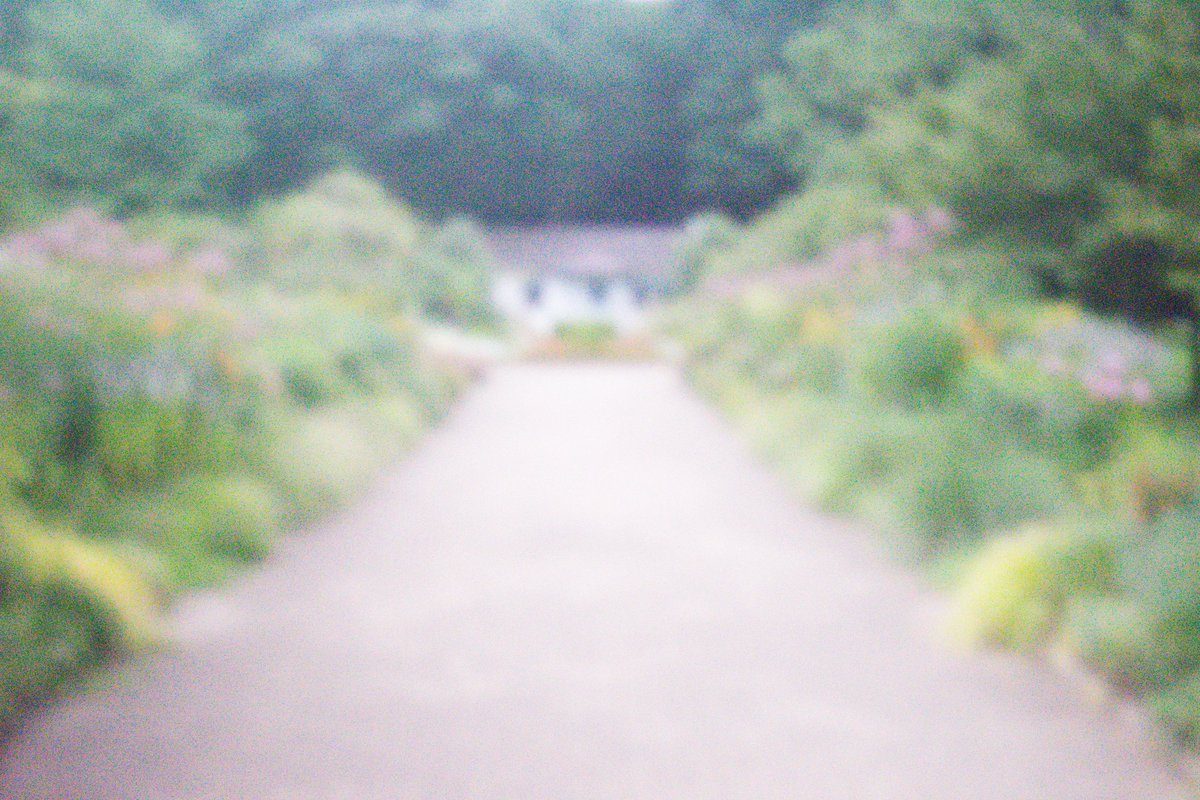 Shibuya 
#shibuya 
#tokyo
#photography 
#coregraphy 
#lovers_nippon
#photo
#photos 
#phos_japan
#moment
#pictures
#snapshot
#streetshared
#streetphotography 
#streetphotographers