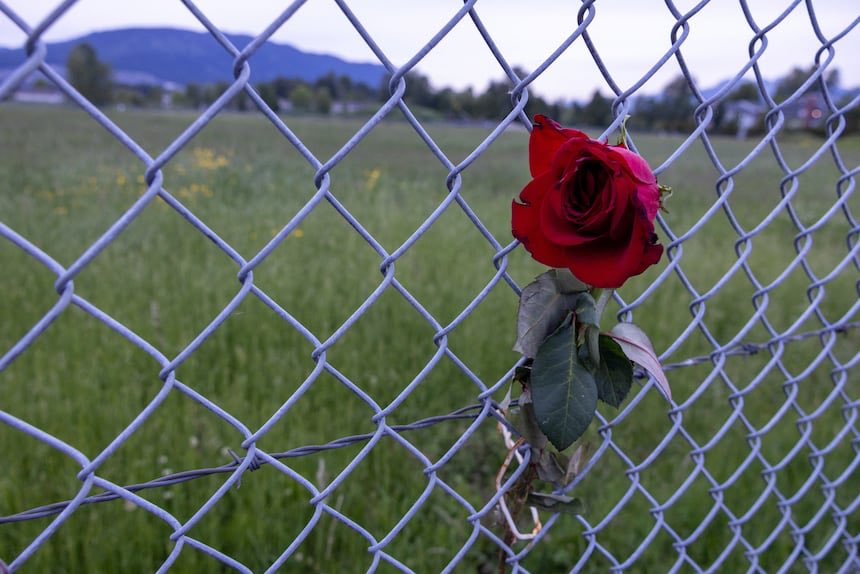 Tanya Talaga tweet media