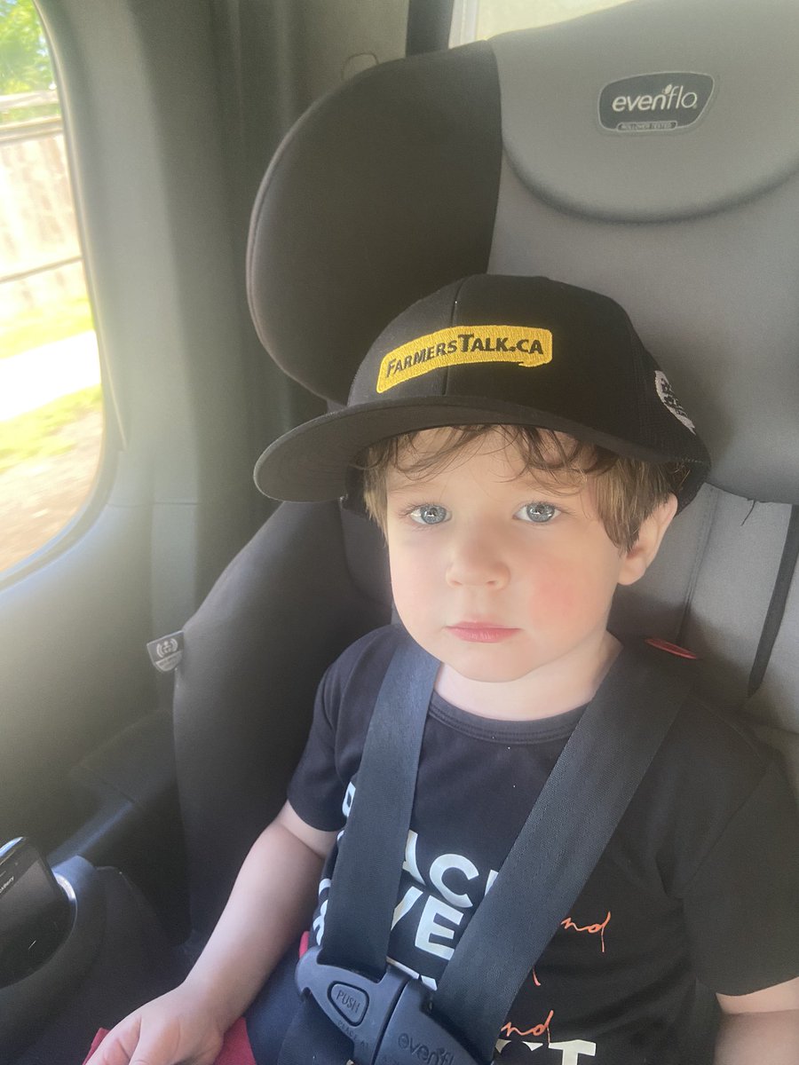 Dr. Shawn McKenna tweet media