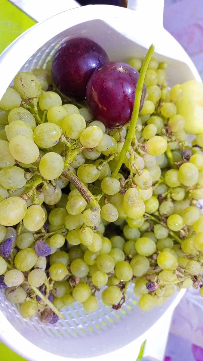 صلو على النبي اول حمل واول حوية 🍇