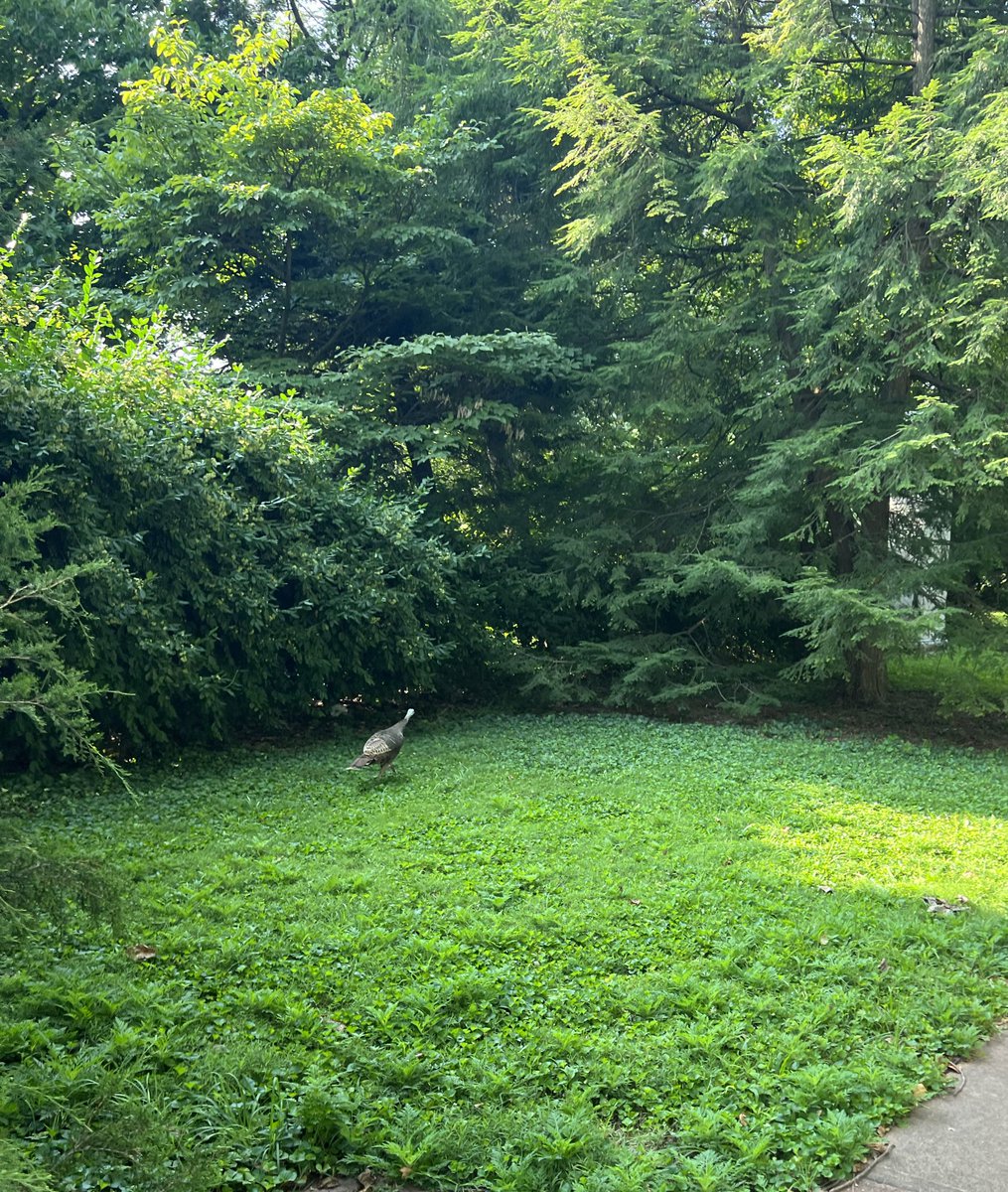 Tess Yocom tweet media