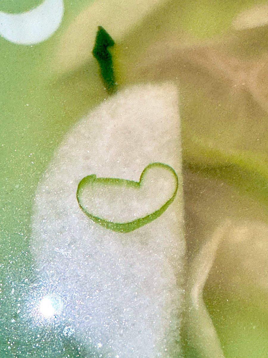 HSangHyuk's tweet photo. 오늘의 평냉표 하트💚 https://t.co/sj1zAcXL58