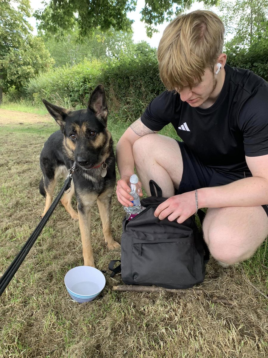 gsrescueelite tweet picture