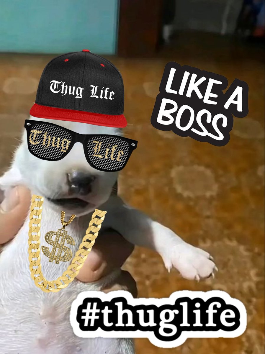 RedFurGang's tweet photo. @monchiCTO @solana GM @monchiCTO I didnt know if we had to customize your template or create memes, so .....I did both
On this first submission its the customization of your template
I presents to you :
-Space #Monchi
- Thug #Monchi
✌️👹✌️
#Igot2doit https://t.co/Q4PeDN8TS3