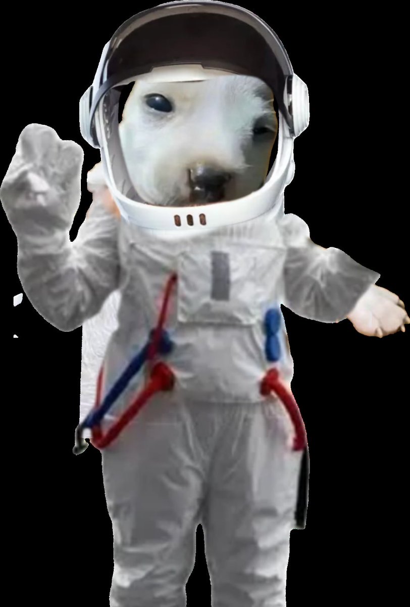 RedFurGang's tweet photo. @monchiCTO @solana GM @monchiCTO I didnt know if we had to customize your template or create memes, so .....I did both
On this first submission its the customization of your template
I presents to you :
-Space #Monchi
- Thug #Monchi
✌️👹✌️
#Igot2doit https://t.co/Q4PeDN8TS3